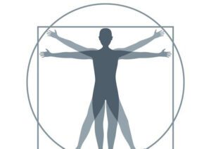 simple vitruvian man